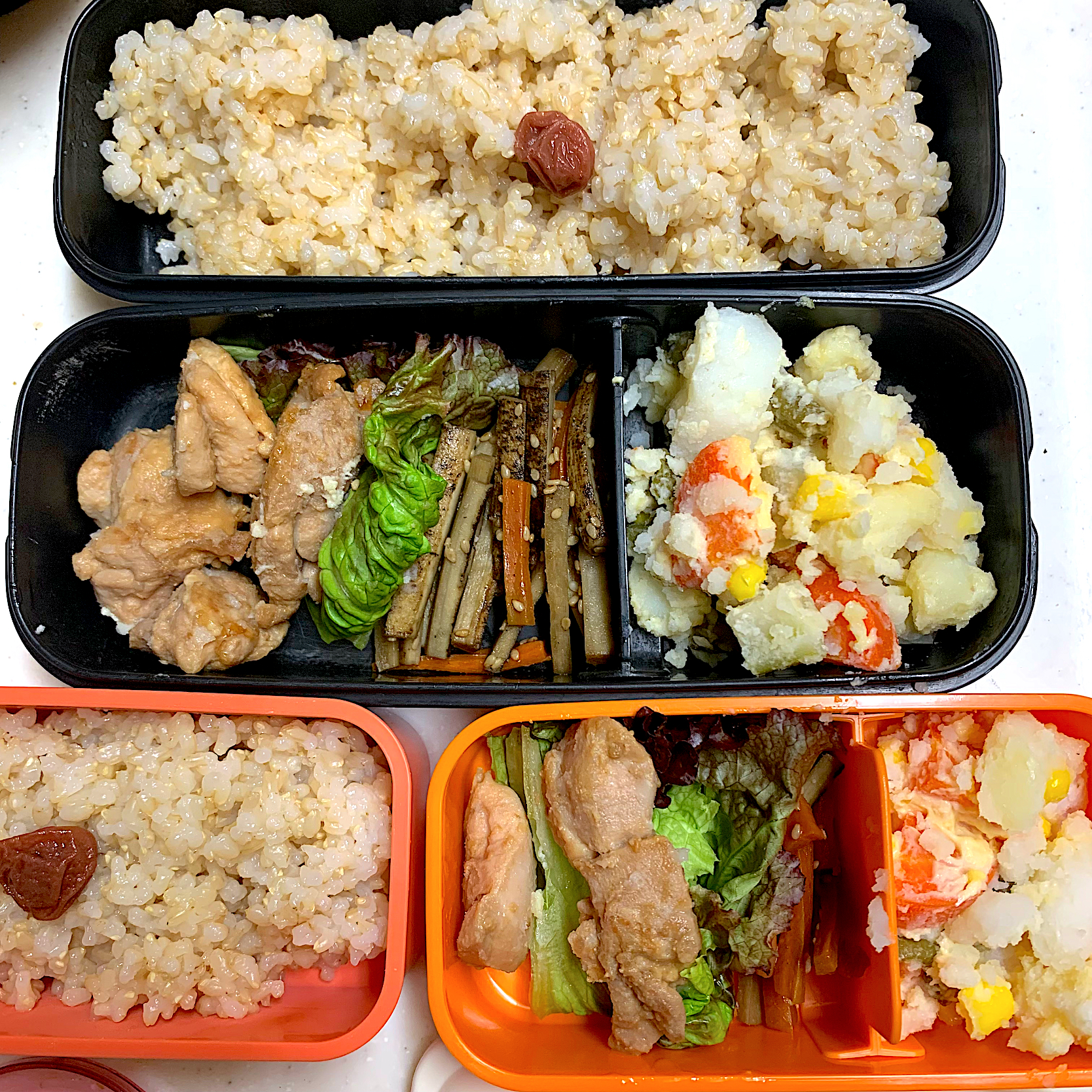 今日のお弁当