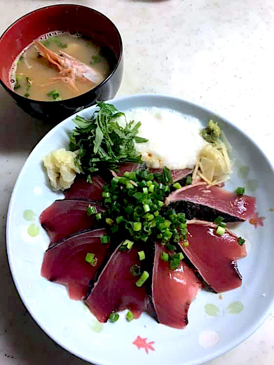 鰹山かけ丼