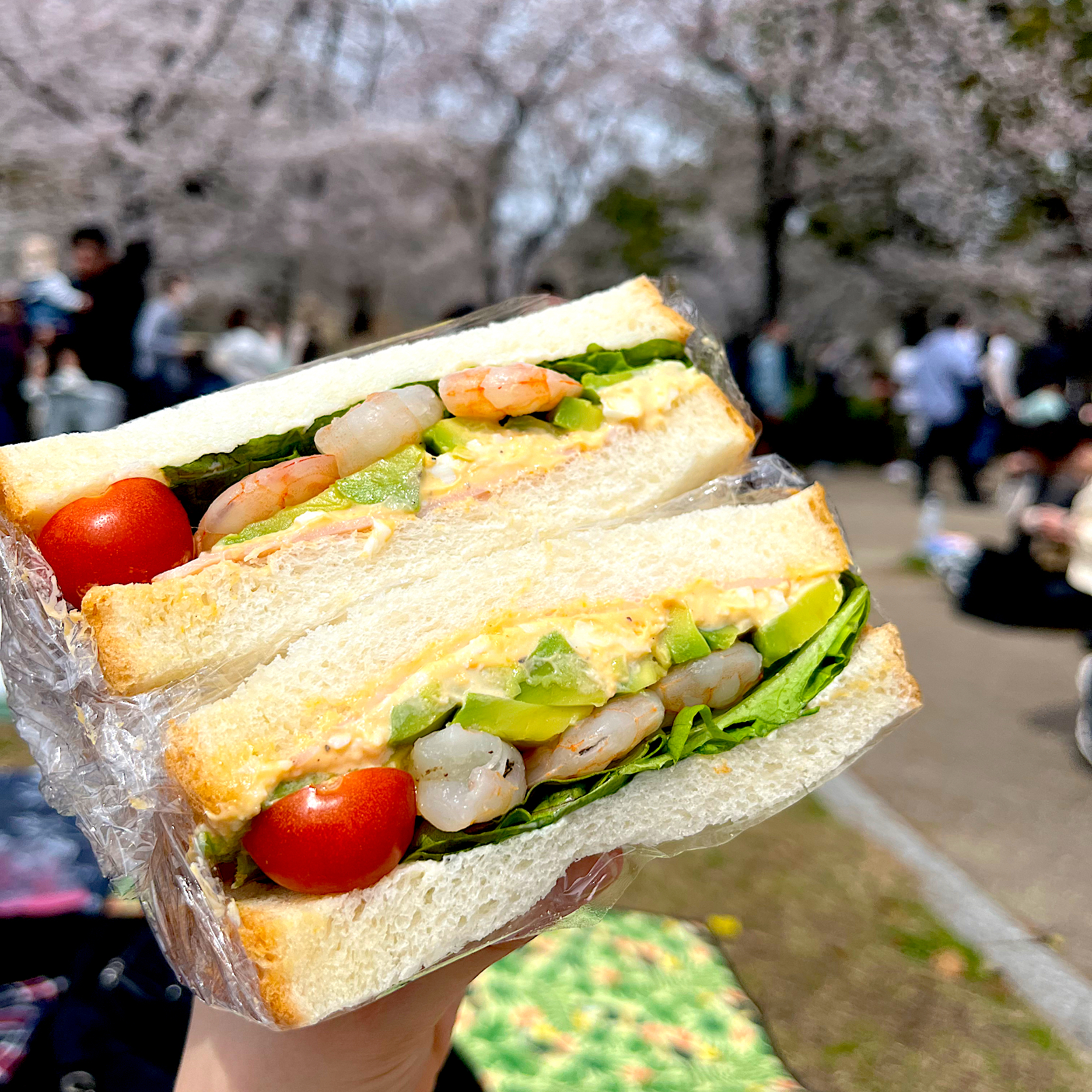 エビアボカド卵ハムの具沢山サンドイッチ🥪