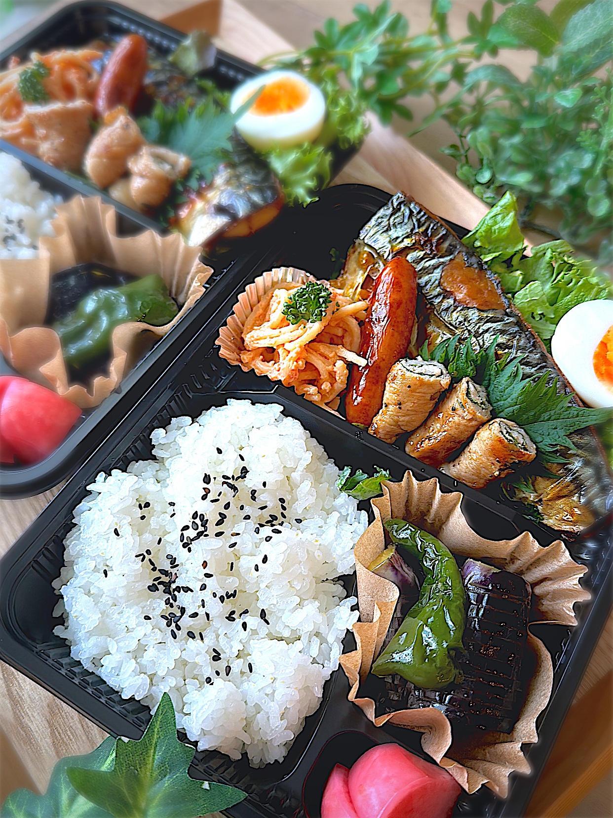 今日のお弁当