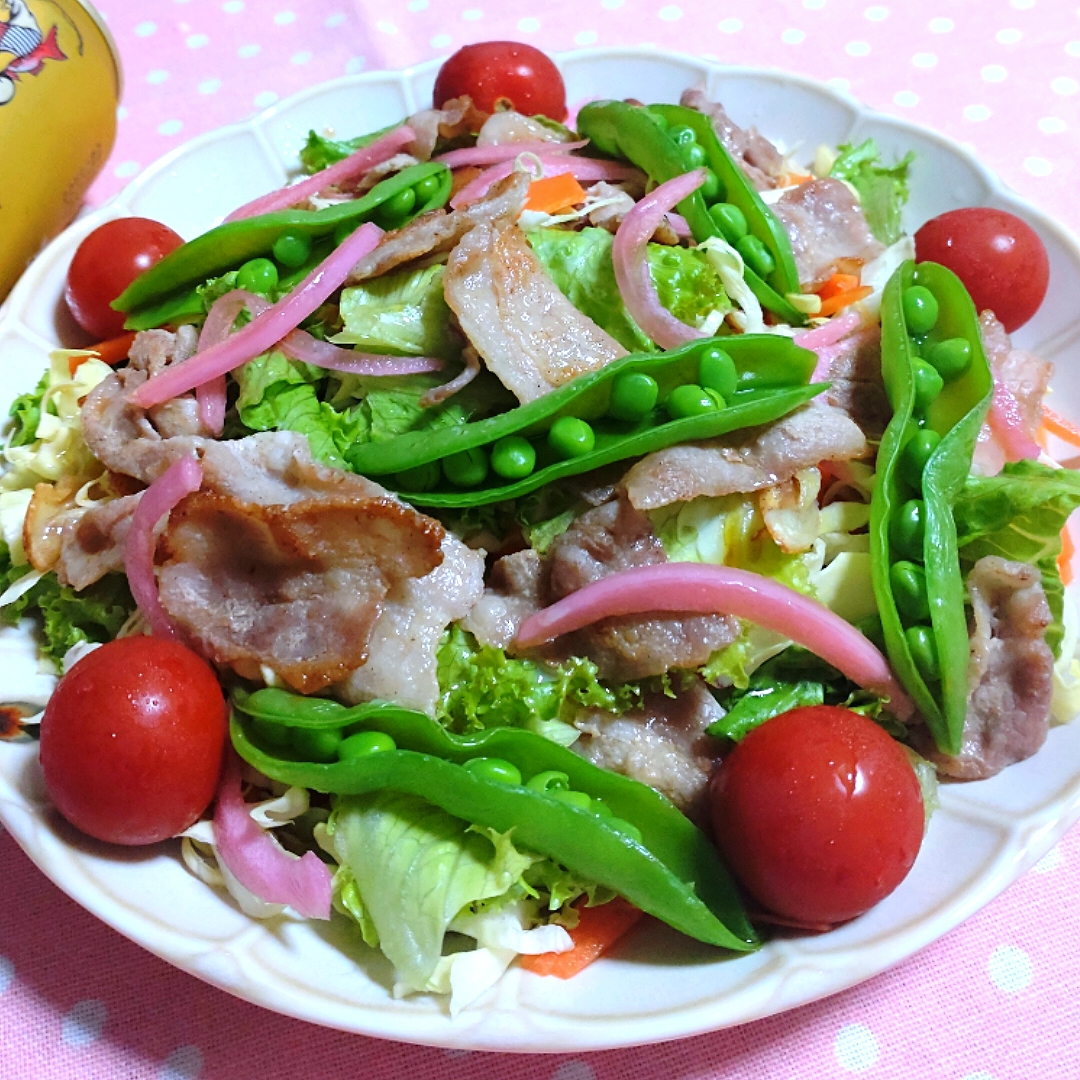 豚バラ肉と野菜のサラダ