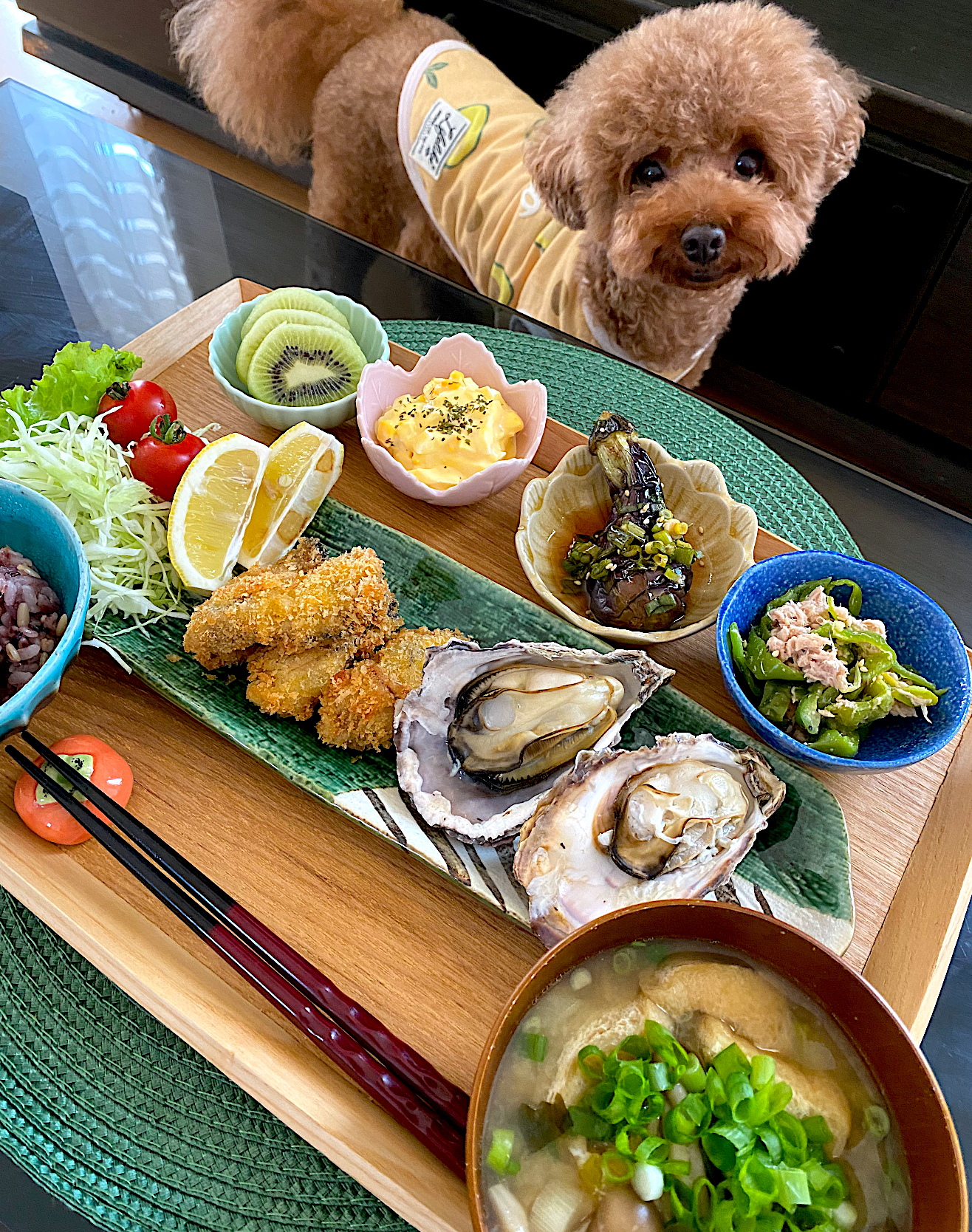 ゆかりさんの料理 蒸し牡蠣&牡蠣フライ🦪😊