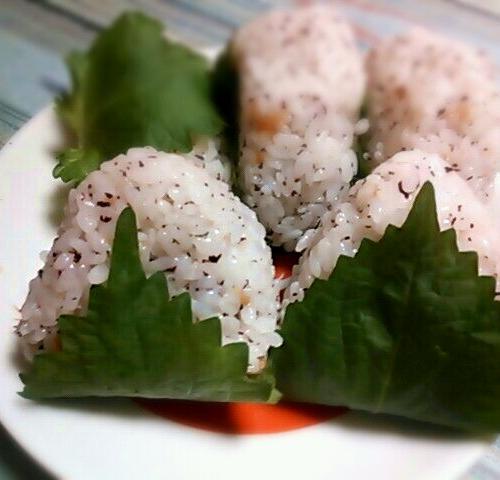 テキトーに具材を入れてない？おにぎりと具材の関係には秘密があった！