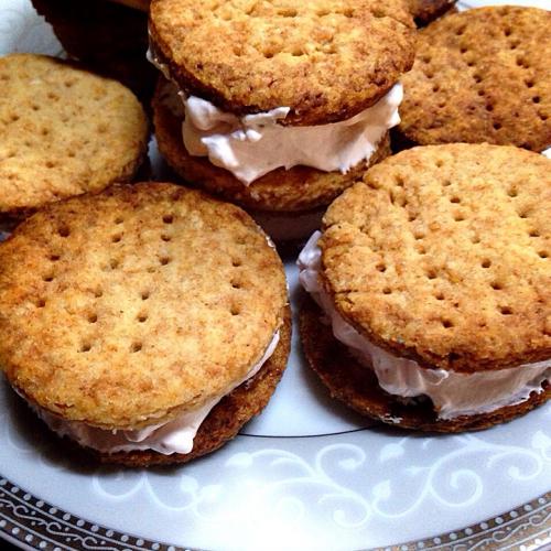 クッキーにアイスを挟むだけ☆アイスサンドの無限の組み合わせを楽しもう！